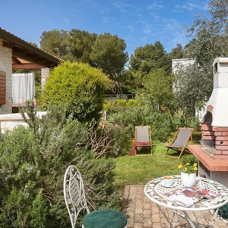 Apartments Valter 881 Novigrad Istria 외부 사진