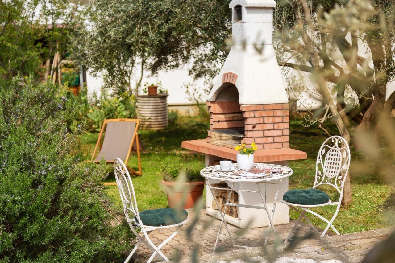 Apartments Valter 881 Novigrad Istria 외부 사진